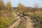 Soil road with muddy tracks in countryside