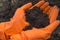 Soil samples in the hands of a biologist in orange gloves. Investigation of the problem of soil pollution
