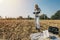 Soil Sampling. Woman Agronomist Taking Sample With Soil Probe Sampler