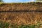 Soil slice in a quarry. Visible soil layers. Traces of sedimenta