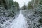 Soil snow road in the forest in winter