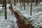 Soil snow trailway in the forest in winter