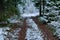 Soil snow trailway in the forest in winter