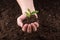 Soil with sprout in hands