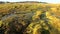 Soil in summer on wilderness desert coast of Arctic on New Earth Vaigach Island.