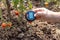 Soil test - measuring temperature, moisture content, environmental humidity and illumination in a vegetable garden