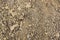 Soil textured surface background