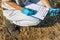 Soil Thermometer. Female Agronomist Measuring Soil Temperature