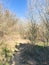 Soil trail at nature park with bare trees in wintertime