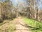 Soil trail at nature park with bare trees in wintertime