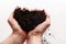 Soil in woman arms against white background close-up. Two hands holding a handful of ground soil. World soil day concept