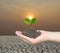 Soil in a Woman hand and treetop on soil with background cracked