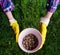 Soil in woman hands, plastic flower pot on grass background