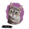 Sokoke cat or Sokoke Forest Cat, African Shorthair natural breed of domestic cat, feral khadzonzo landrace. Digital art