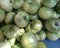 Solanum lycopersicon, Aunt Ruby\'s German Green