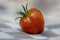 Solanum lycopersicum cultivated red ripened strawberry tomato, tasty fresh fruit with green stem