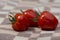 Solanum lycopersicum cultivated red ripened strawberry tomato, tasty fresh fruit with green stem