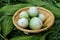 Solanum virginianum fruits