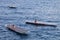 Solar boats in Port Hercules during Monaco Solar Boat Challenge.