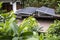 Solar cells on the roof of the house In rural villages where electricity is not accessible There is space for text