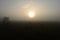 Solar circle in swamp fog at dawn on a warm summer morning