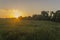 Solar decline on a summer meadow