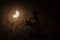 Solar eclipse seen through a ring of multicolored clouds with pine tree limb silhouetted in front.