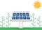 Solar energy cocept with electric solar panel and green plants