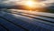 solar energy panels in the field with sunset sky and mountain background