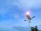 Solar energy and streetlight on blue sky. Green energy concept