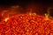 Solar flares on the surface of our star