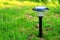 Solar lamp