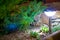 Solar lanterns garden light