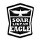 Solar like an eagle label. Vector illustration decorative design