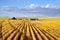 Solar midday on fields of Montana