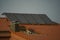 Solar modules on a residential building roof in the evening light