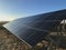 Solar panels in a field with sunray flare, evening light