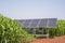 Solar panels for irrigation systems in farmer\\\'s corn fields