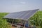 Solar panels for irrigation systems in farmer\\\'s corn fields