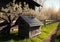 Solar panels powering wooden house or private cabin. AI generative, illustration generated by AI. Springtime, apple trees in bloom
