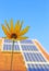 Solar panels on a rooftop, sunflower in the foreground