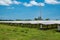 Solar panels in solar farms with wind turbine blue sky background.