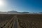 Solar Plant near Primm in Nevada
