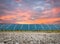 Solar plantsolar cell with the orange sky, hot climate causes increased power production, Alternative energy to conserve the