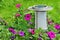 Solar powered garden lamp in garden.