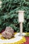 Solar-powered lamp on garden background.