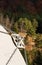 Solar radio telescope hidden in forest nature surveillance spy technology mobile antenna beautiful sunny autumn day