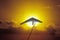 Solar Sailing Hang Gliding