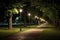 solar street lights illuminating a park pathway