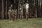 Soldier fighters standing together with guns. Group portrait of US army elite members, private military company